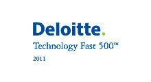 Deloitte 2011